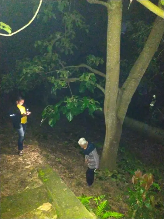 Polsek Karangpawitan Evakuasi Korban Jatuh dari Pohon Muncang