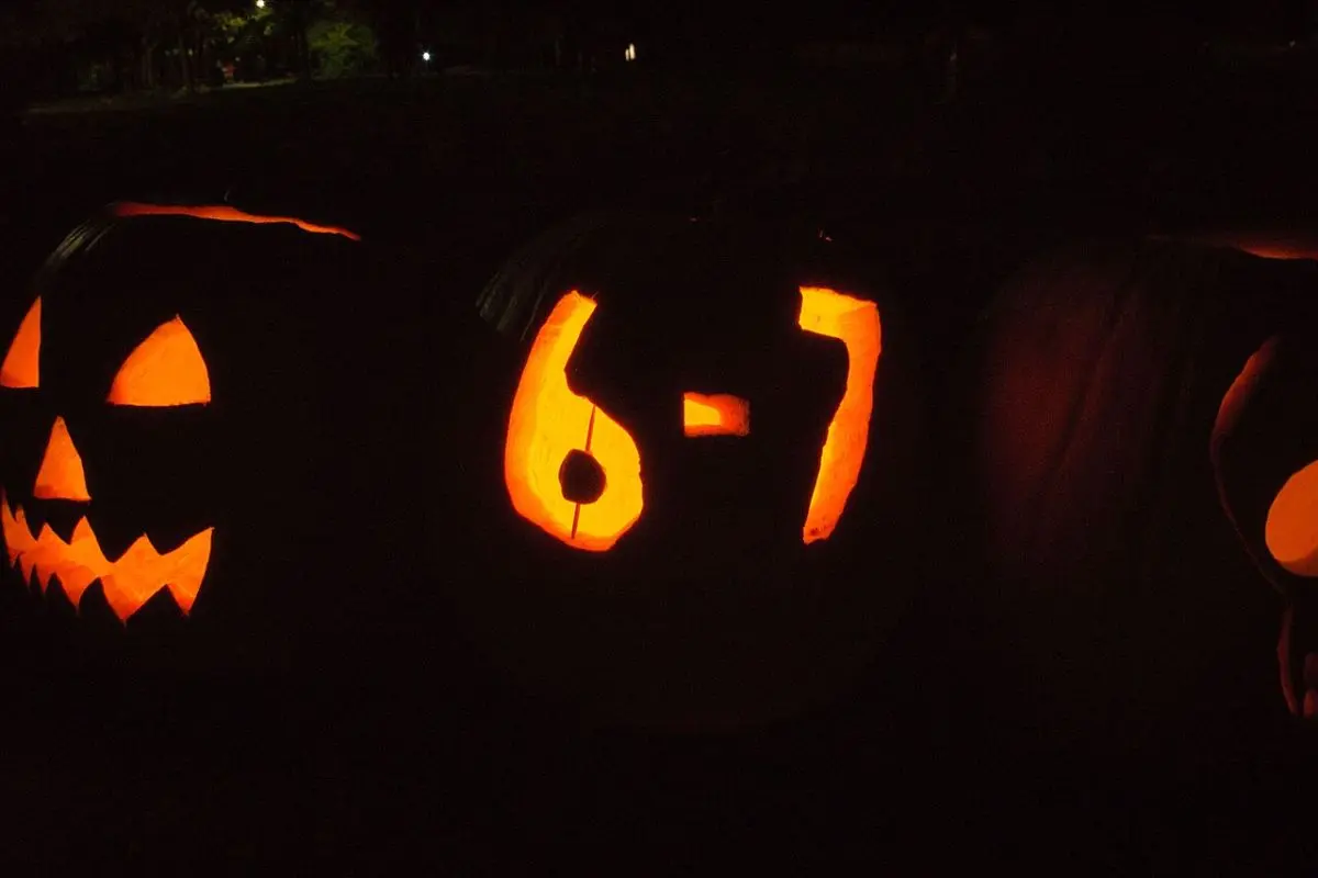 Word of the Year 67 (wikipedia)