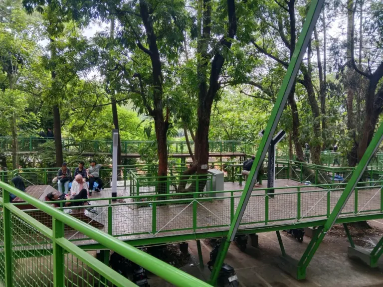 Forest Walk Babakan Siliwangi Rusak dan Rawan, Pemkot Bandung Janjikan Perbaikan 2026 Babakan Siliwangi Bandung