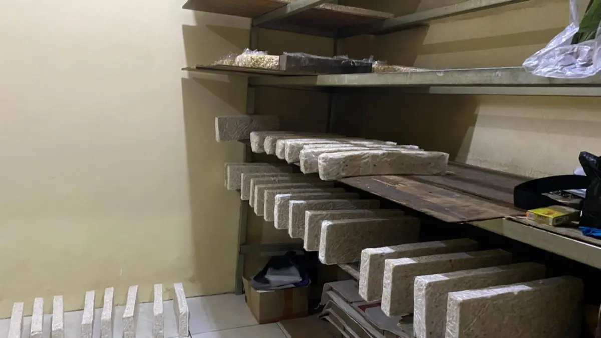 Pengrajin Tempe Bertahan di Tengah Cuaca Tak Menentu Cuaca yang kian sulit diprediksi menjadi tantangan tersendiri bagi pengrajin tempe rumahan di Jalan Sukakarya, Cicaheum, Kota Bandung