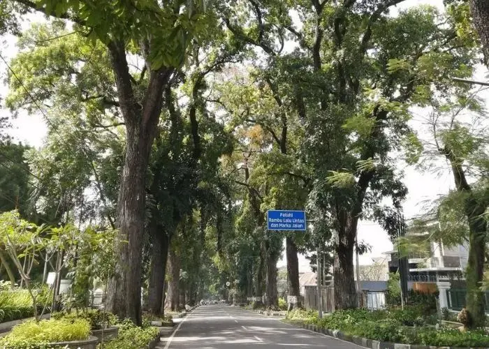 Ngabuburit Heritage: Menyusuri Jejak Sejarah Bandung Sambil Menunggu Adzan Maghrib Jalan Cipaganti Bandung dengan bangunan lama dan pohon mahoni. (IG/@jalanjalan_murah55)