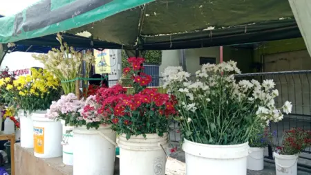 Aroma Sedap Malam Warnai Jalanan Bandung Jelang Idulfitri