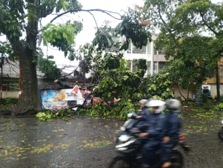 Hujan Deras dan Angin Kencang Terjang Bandung, 34 Kejadian Darurat Dilaporkan Hujan Deras dan Angin Kencang Terjang Bandung, 34 Kejadian Darurat Dilaporkan