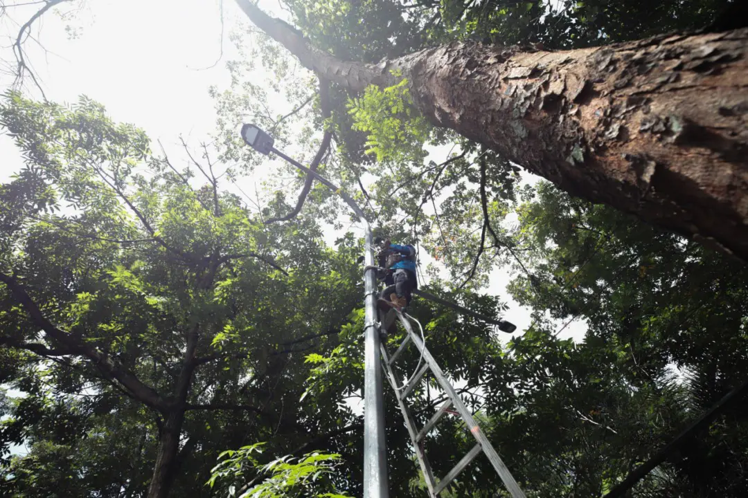 Setelah Lama Dikeluhkan, Dishub Kota Bandung Pasang PJU di Kawasan Taman Lalu Lintas