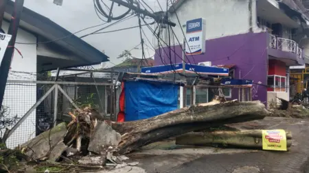 Cuaca Ekstrem Terjang Bandung, Mitigasi Dinilai Perlu Diperkuat Pohon Tumbang & Tiang listrik rpboh Jl. Dakota - Jl. Sukaraja II Bandung,