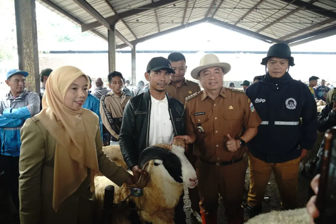 Bupati Garut tinjau langsung pasar hewan Andir Bayongbong Garut,untuk memastikan ketersedian hewan qurban,Aman,sehat