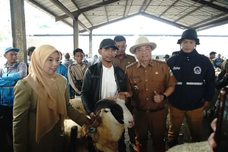 Jelang Iduladha 1447 H, Bupati Garut Tinjau Kesiapan dan Kualitas Hewan Kurban Bupati Garut tinjau langsung pasar hewan Andir Bayongbong Garut,untuk memastikan ketersedian hewan qurban,Aman,sehat