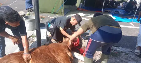 KH.Eman Sulaeman Qurban meningkat meski tidak signifikan di Mandala residence,kamis (27/5/2026)