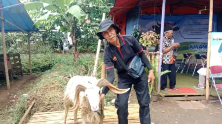 Aryo (30) bersama salah satu ekor Domba yang ia pelihara menjelang Idul Adha (Sarah/Koran Mandala)