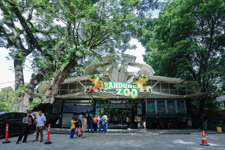 Pemkot Bandung Siapkan Revitalisasi Bandung Zoo, Pengelola Baru Resmi Ditetapkan