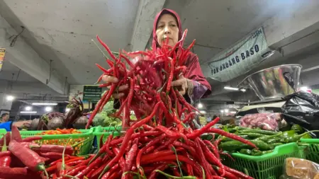 Pasar Kosambi Bandung: Harga Cabai Turun Stok Bahan Pokok Melimpah Sejumlah Harga Bahan Pokok di Kota Bandung Terpantau Turun di Masa Libur Sekolah, Namun Harga Telur Justru Alami Kenaikan (Sarah/Koran Mandala)