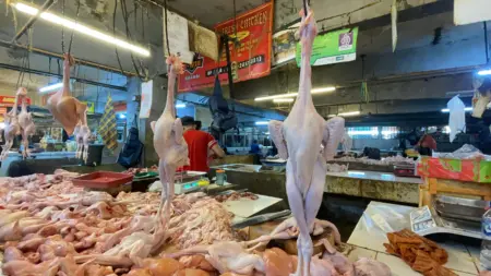 Harga Ayam Naik, Disdagin Bandung Ungkap Sejumlah Penyebab Harga Ayam Potong di Pasar Kosambi Turun, Pedagang Sebut Persaingan Antar Lapak Makin Ketat (Sarah/Koran Mandala)