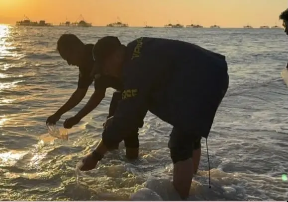 Benih lobster atau benur barang bukti dilepaskan di pantai Pangandaran,Senin (10/8/2026)