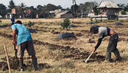 Sektor Pertanian Turun Drastis, Petani Berharap ada Bantuan Sumur Bor Sektor Pertanian Turun Drastis, Petani Berharap ada Bantuan Sumur Bor