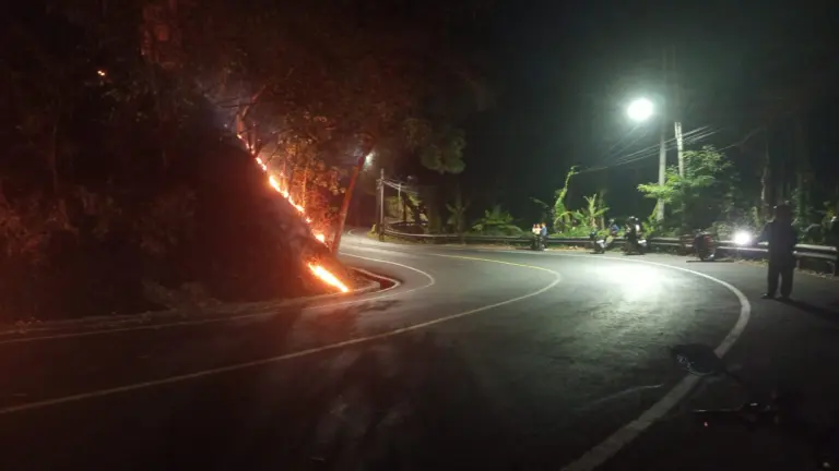 Kebakaran Lahan Kosong Di Sukamukti Cepat Dipadamkan, Diduga Dipicu Puntung Rokok