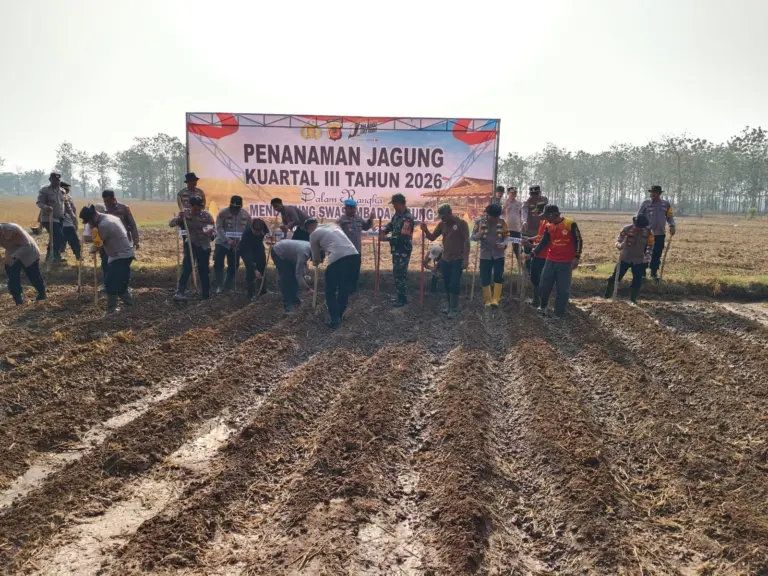 Kapolres Purwakarta AKBP Febri Nurzam menanam jagung bersama kelompok tani di Campaka, Purwakarta, Rabu (16/9/2026).