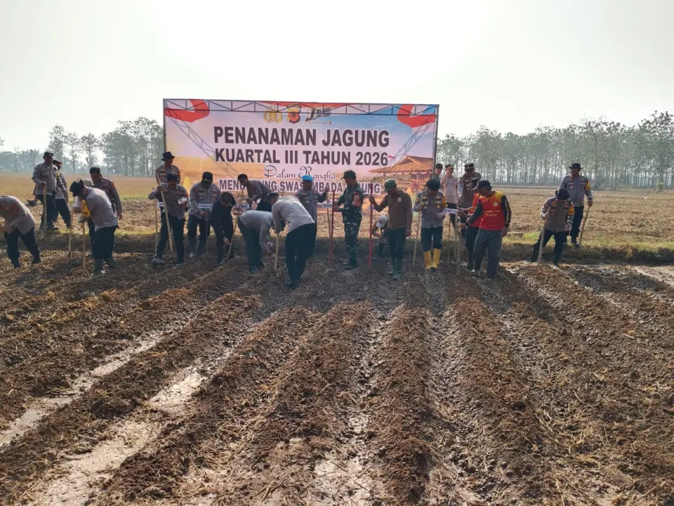 Kapolres Purwakarta AKBP Febri Nurzam menanam jagung bersama kelompok tani di Campaka, Purwakarta, Rabu (16/9/2026).