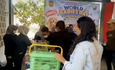 Vaksinasi Rabies Gratis Sasar 2.500 Hewan di Purwakarta Warga membawa hewan peliharaannya untuk mengikuti vaksinasi rabies gratis yang digelar Diskanak Kabupaten Purwakarta.