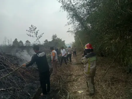 Lahan Warga Sindangpanon Purwakarta Terbakar Saat Kemarau Lahan warga di Sindangpanon, Purwakarta, terbakar saat musim kemarau. (Istimewa)