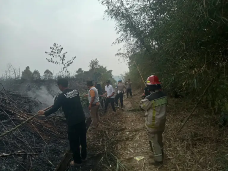 Lahan warga di Sindangpanon, Purwakarta, terbakar saat musim kemarau. (Istimewa)