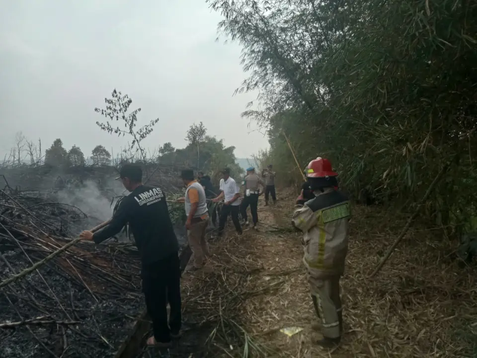 Lahan warga di Sindangpanon, Purwakarta, terbakar saat musim kemarau. (Istimewa)