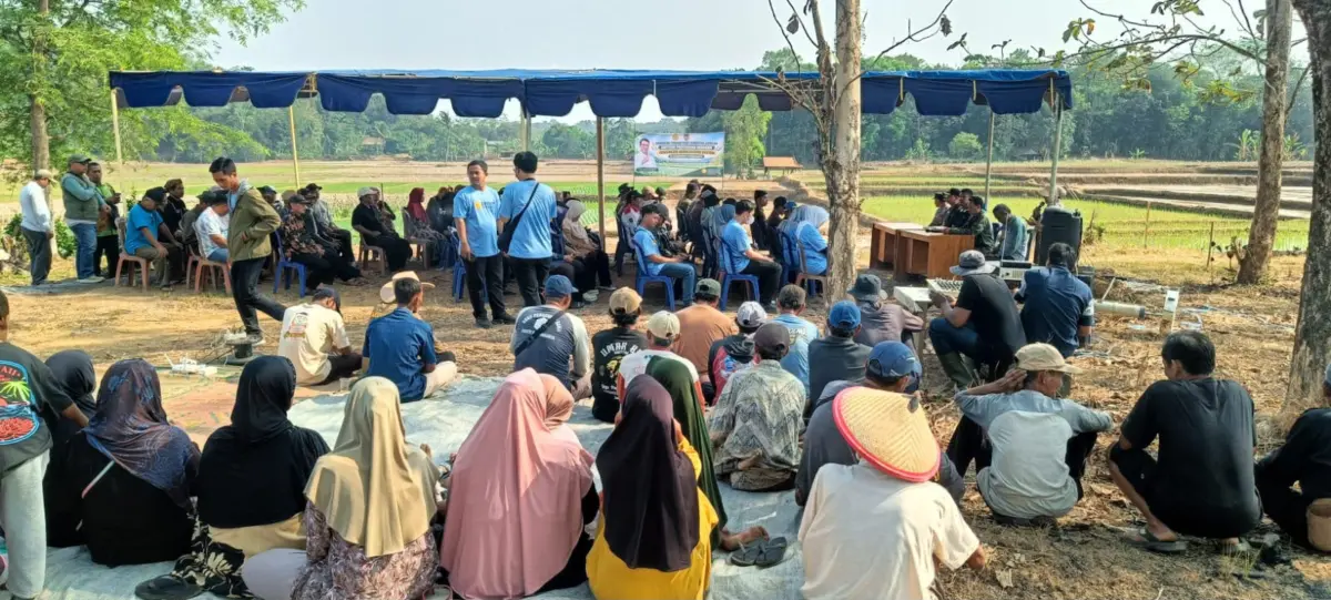 Petani di Cibatu Purwakarta mulai dikenalkan metode tanam padi modern (Istimewa)
