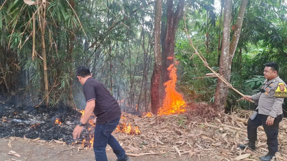 Kebakaran lahan di Cibinong, Purwakarta (Istimewa)