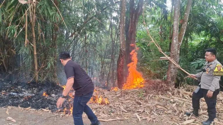 Lahan Kering Terbakar, Kebiasaan Bakar Sampah Sembarangan Jadi Sorotan Kebakaran lahan di Cibinong, Purwakarta (Istimewa)