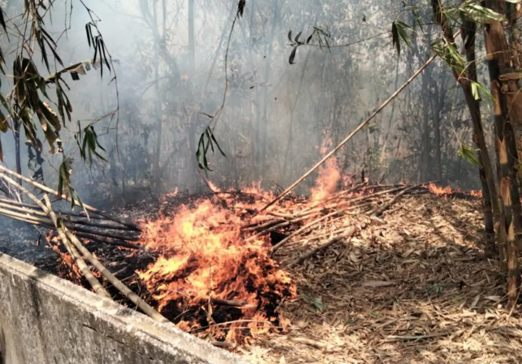 lokasi lahan warga yang terbakar di Kampung Sukamanah, Desa Cigelam, Kecamatan Babakancikao, Purwakarta, Rabu (16/9/2026).