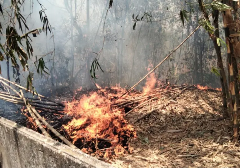 Lahan Warga di Cigelam Purwakarta Terbakar lokasi lahan warga yang terbakar di Kampung Sukamanah, Desa Cigelam, Kecamatan Babakancikao, Purwakarta, Rabu (16/9/2026).