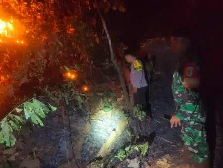 Setengah Hektare Lahan Perhutani di Banjar Terbakar Setengah Hektare Lahan Perhutani di Banjar Terbakar, Dugaan Pembakaran Ranting Diselidiki