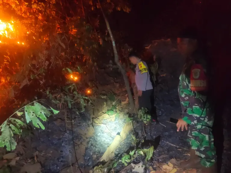 Setengah Hektare Lahan Perhutani di Banjar Terbakar, Dugaan Pembakaran Ranting Diselidiki