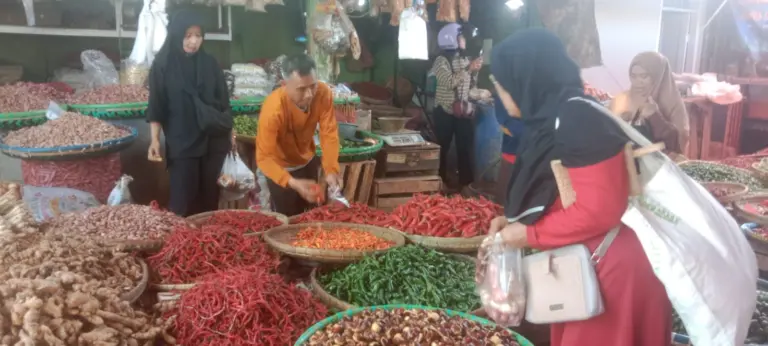 Kemarau Panjang Picu Kenaikan Harga Cabai Rawit Hijau di Garut hingga 17,8 Persen
