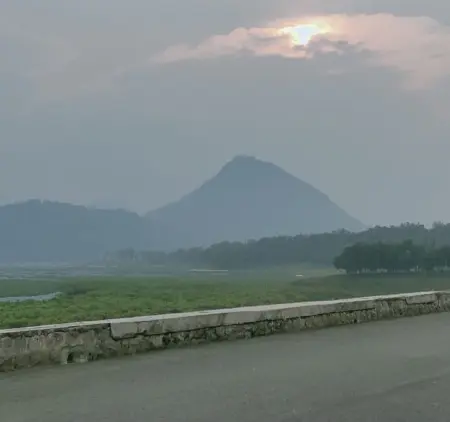 Waduk Jatiluhur Mengering, Dasarnya Jadi Hamparan Rumput untuk Pakan Domba Waduk Jatiluhur Mengering, Dasarnya Jadi Hamparan Rumput untuk Pakan Domba