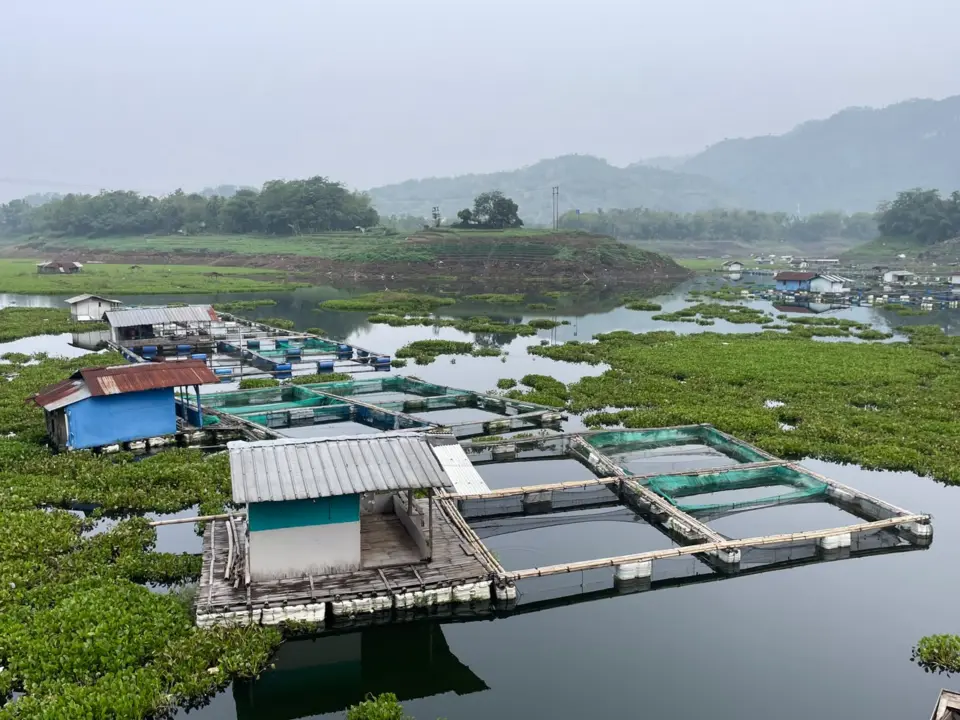 Keramba Jaring Apung di Perairan Waduk Saguling. (bagus/koranmandala)