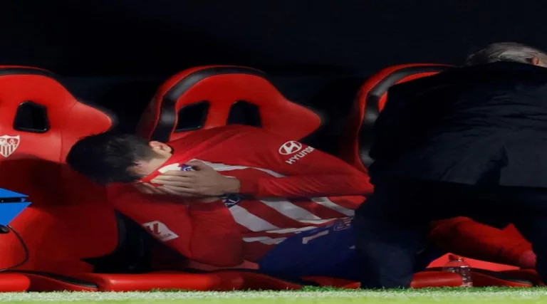 Morata cedera