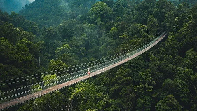 Jembatan Gantung Situ Gunung Terpanjang se-Asia Tenggara ada di Jawa Barat, Intip Harga Tiket dan Rutenya