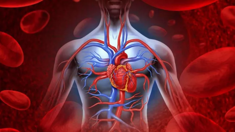 5 Cara Alami Membersihkan Pembuluh Darah untuk Kesehatan Optimal