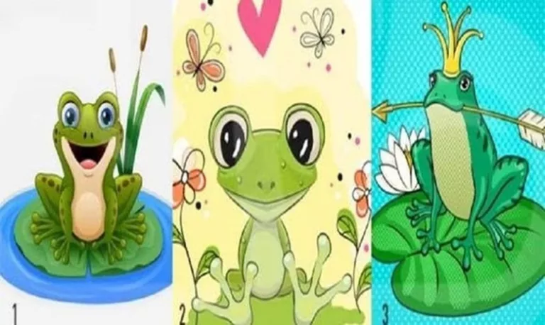 tes kepribadian pilih katak