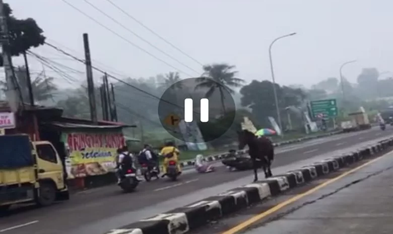viral kuda lepas tabrak motor