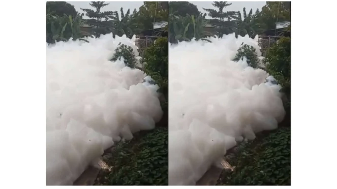 Viral Sungai di Depok seperti Negeri di Atas Awan, Nyatanya Tercemar Limbah setinggi 5 Meter