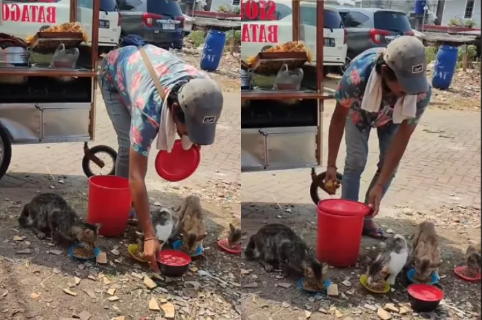 Sambil Berjualan, Pedagang Siomay-Batagor Ini Bagikan Makanan untuk Kucing-Kucing, Warganet Doakan Keberkahan