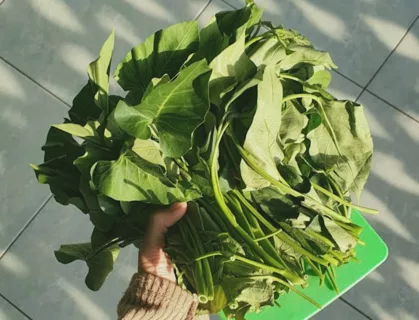 kangking sayur anti kanker