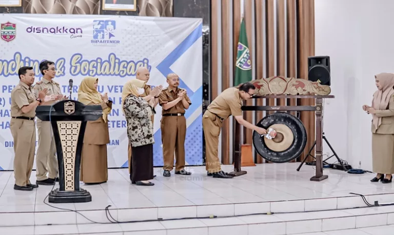Sosialisasi dan launching Sipartner