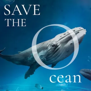 Tanggal 18 Februari 2024 Memperingati Apa? Ada Hari Paus Sedunia