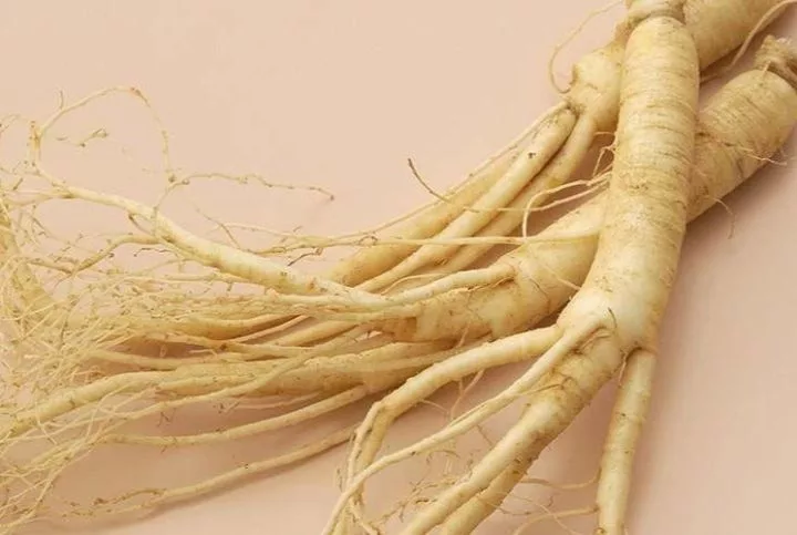 ginseng